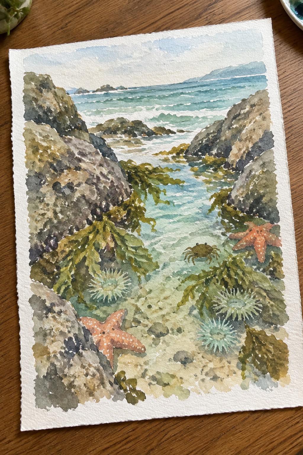 Watercolor painting of rocky tide pools with orange starfish, anemones, crab, and ocean waves