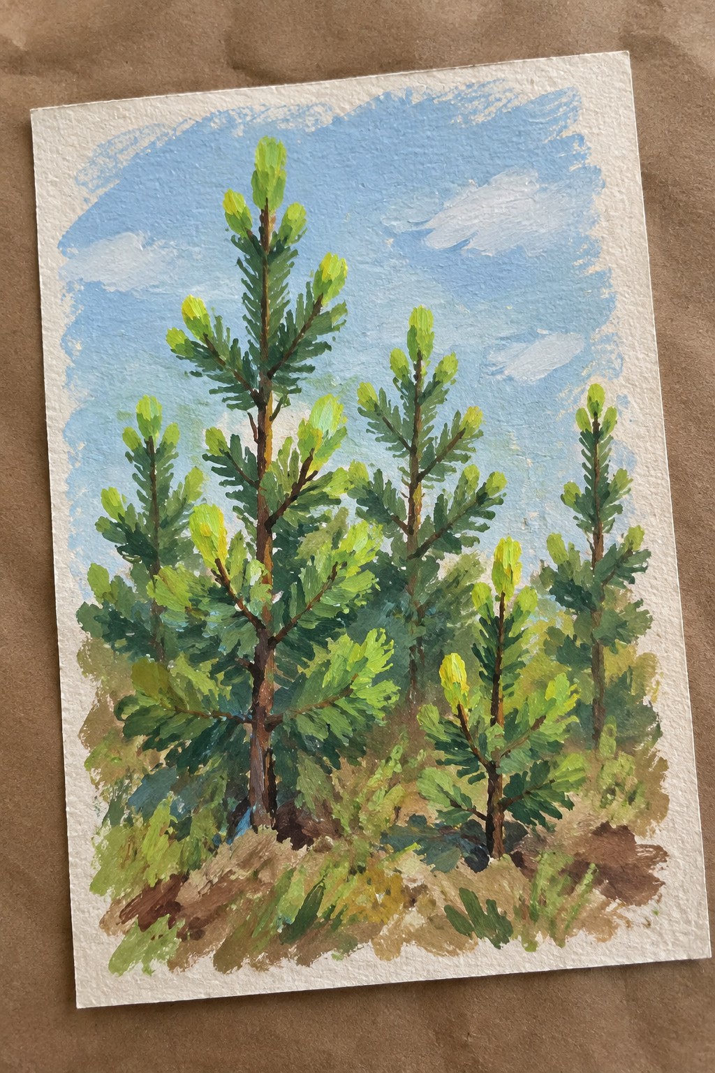 Watercolor painting of green pine trees with brown trunks under a blue sky.