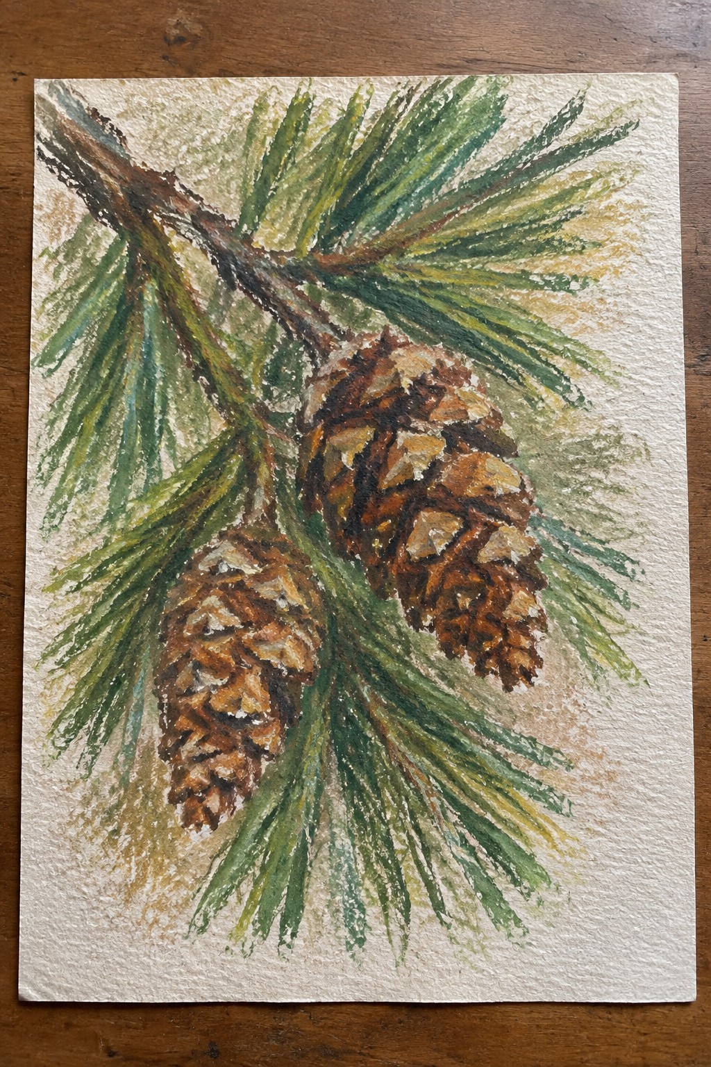 Watercolor painting of two brown pinecones on a pine branch with green needles