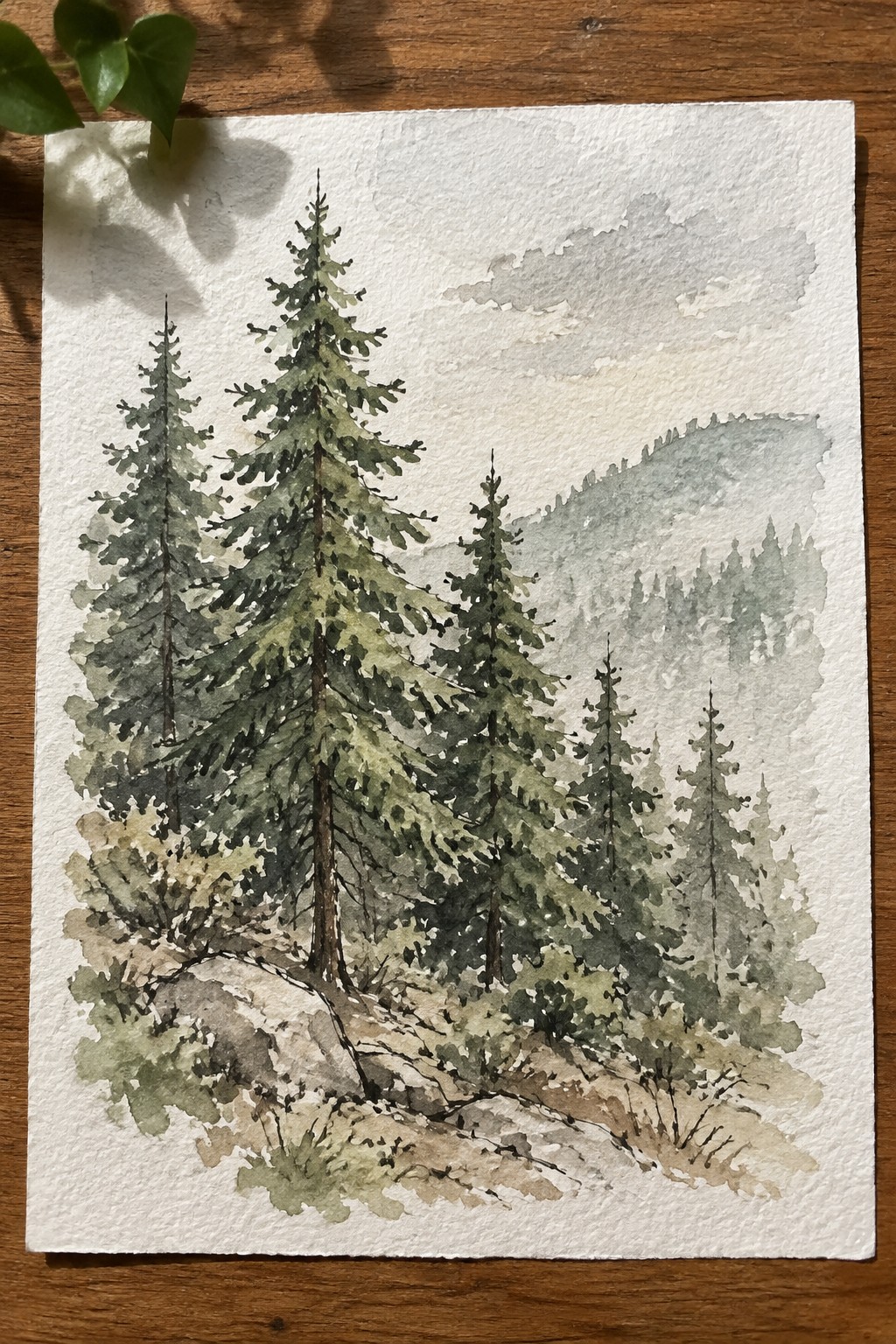 Watercolor painting of tall pine trees on rocky ground with misty mountains behind