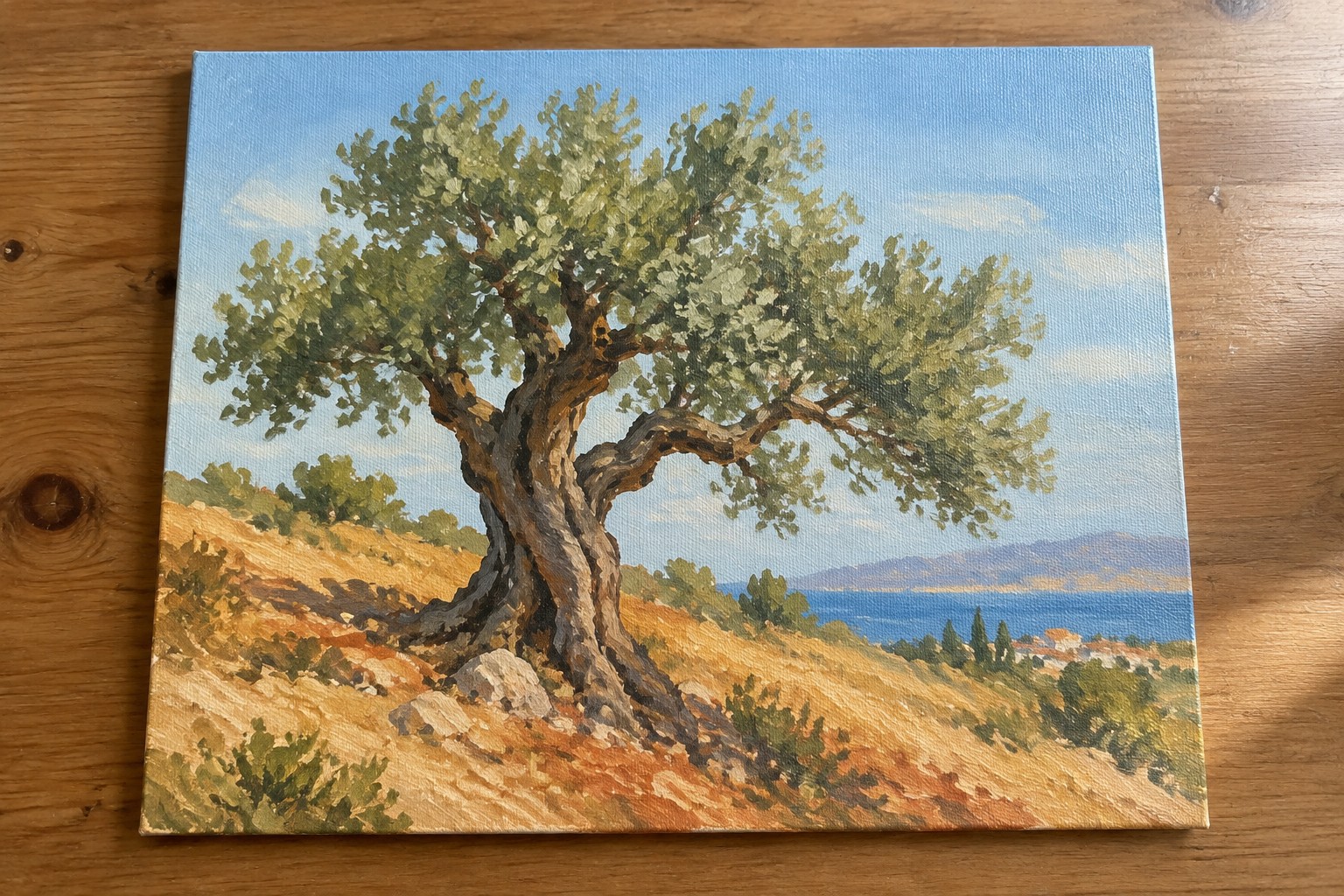 Gnarled olive tree on dry hillside overlooking blue sea and distant coast