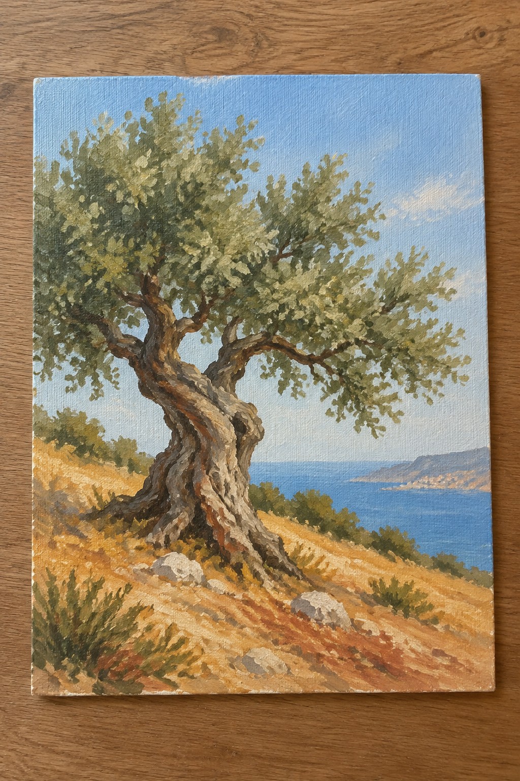 Gnarled olive tree on dry hillside overlooking blue sea and distant coast