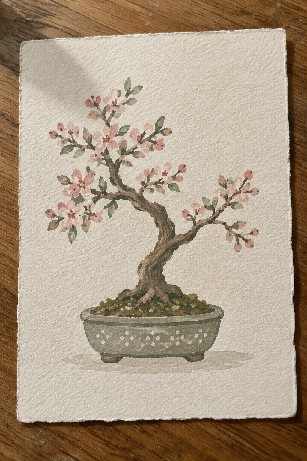 Watercolor painting of pink-blossomed bonsai tree in dotted green ceramic pot on wood