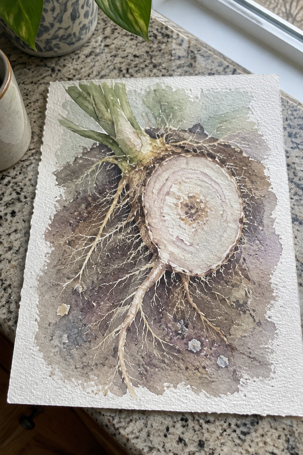 Watercolor painting of a cross-sectioned root vegetable with green leaves and spreading roots
