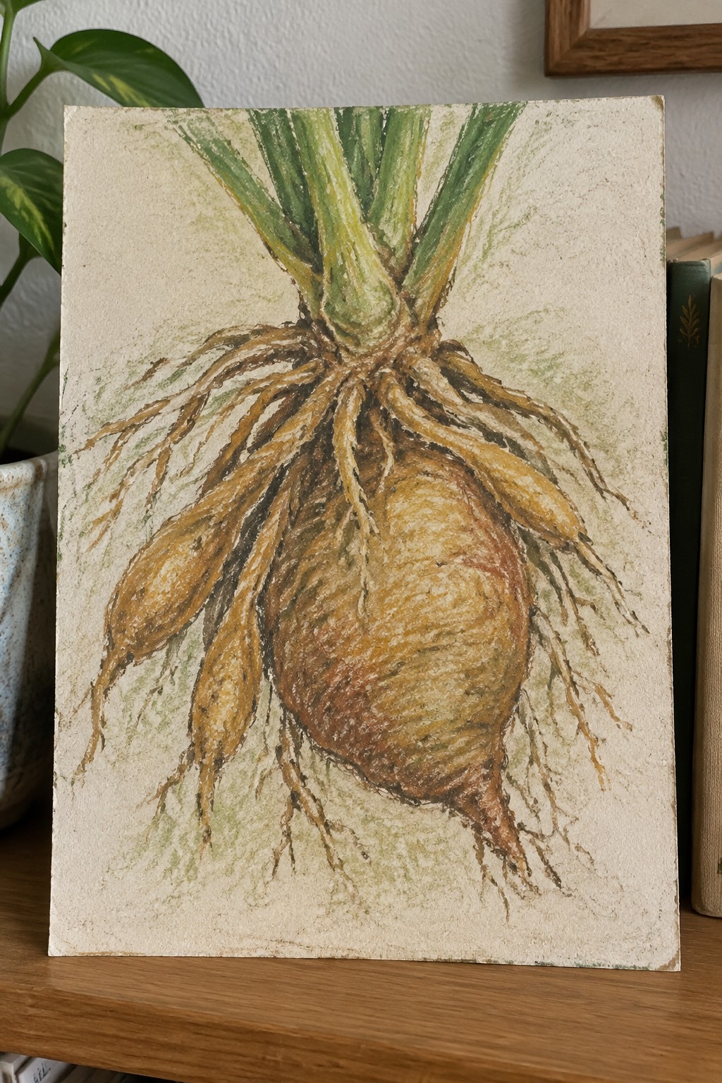 Watercolor painting of brown root bulbs with green stems and tangled roots on wood.