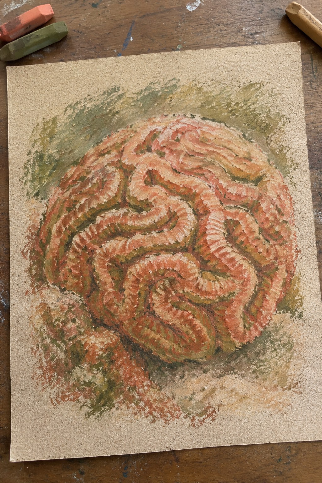 Pastel drawing of a pink-orange brain on brown paper with chalks nearby.