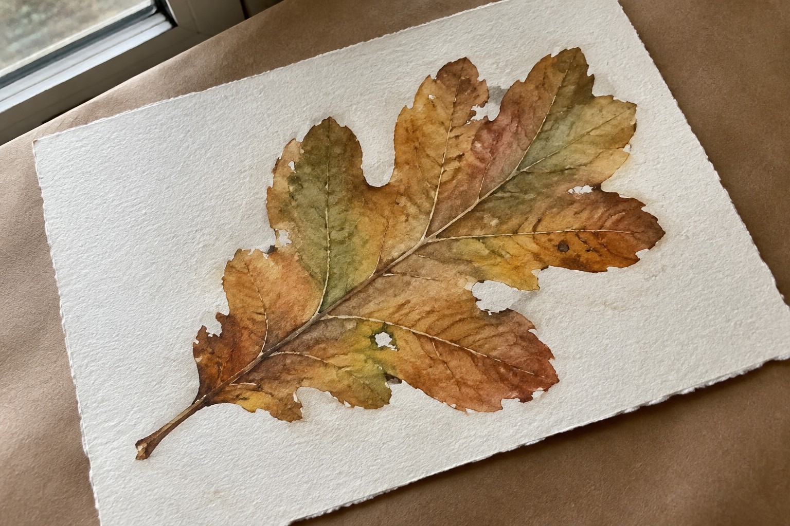 Watercolor of an oak leaf in brown, orange, and green on white paper