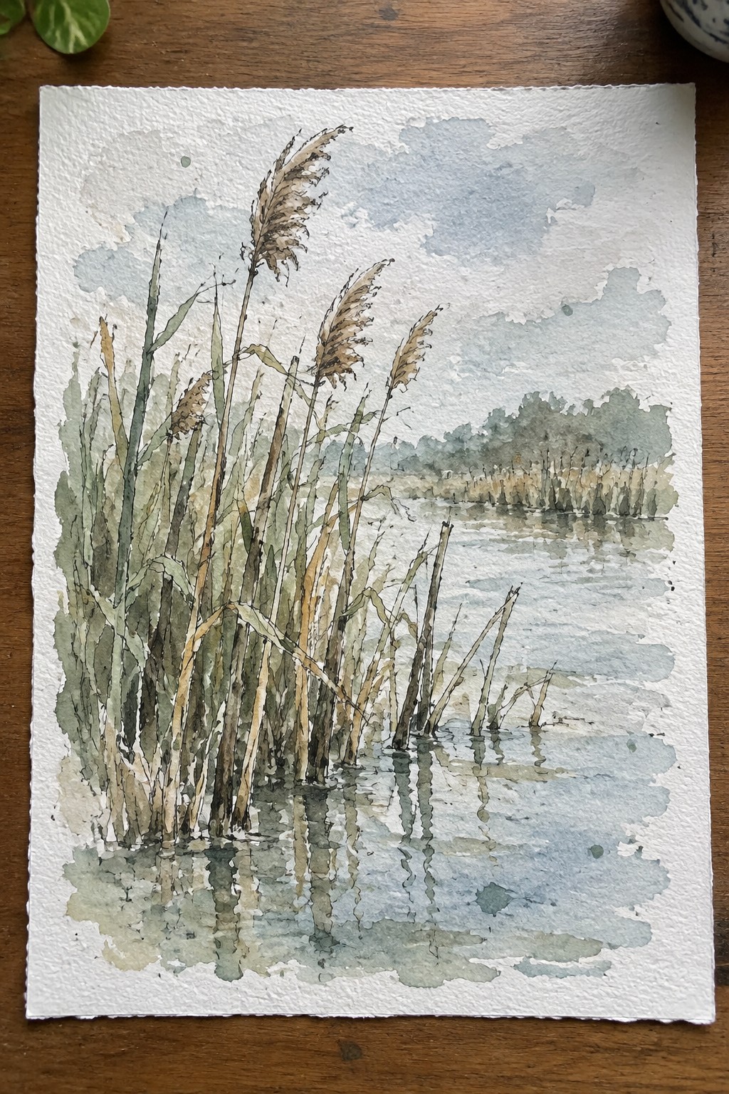 Watercolor of tall reeds reflected in calm water under a cloudy sky