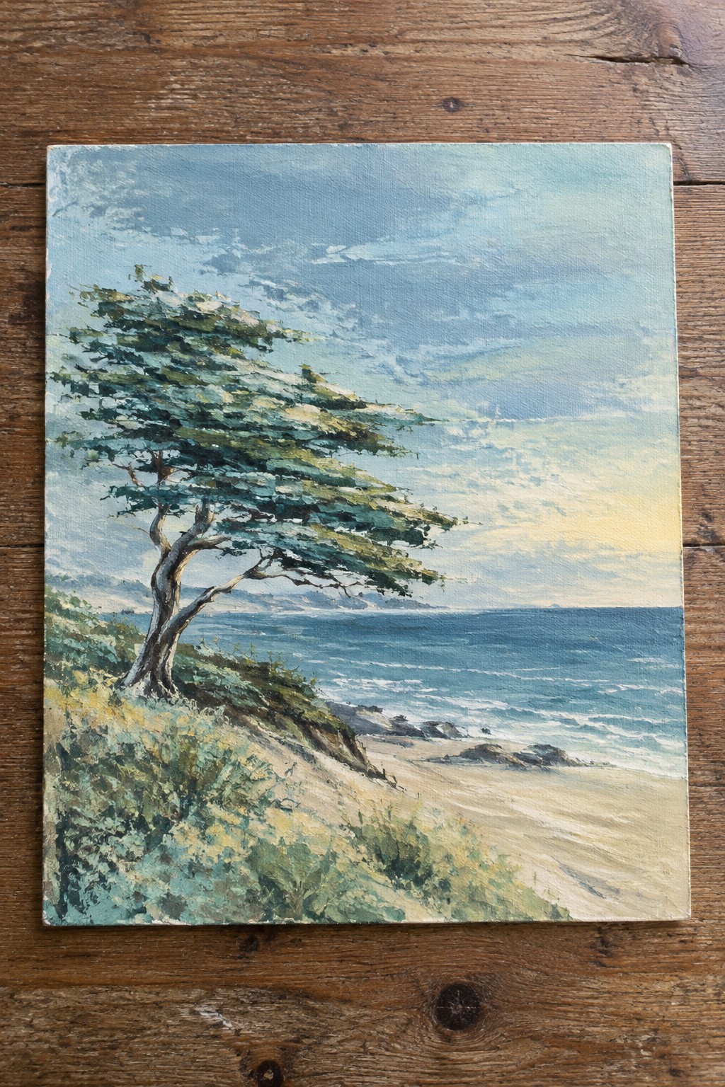 Windswept tree on grassy cliff above sandy beach with blue ocean waves