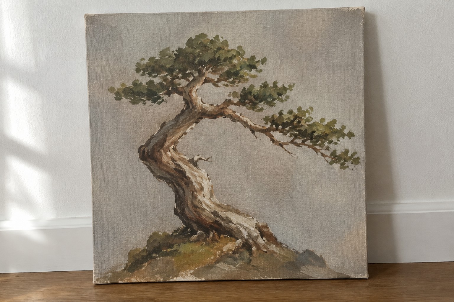 Twisted bonsai tree with green foliage on canvas against wall on wooden floor