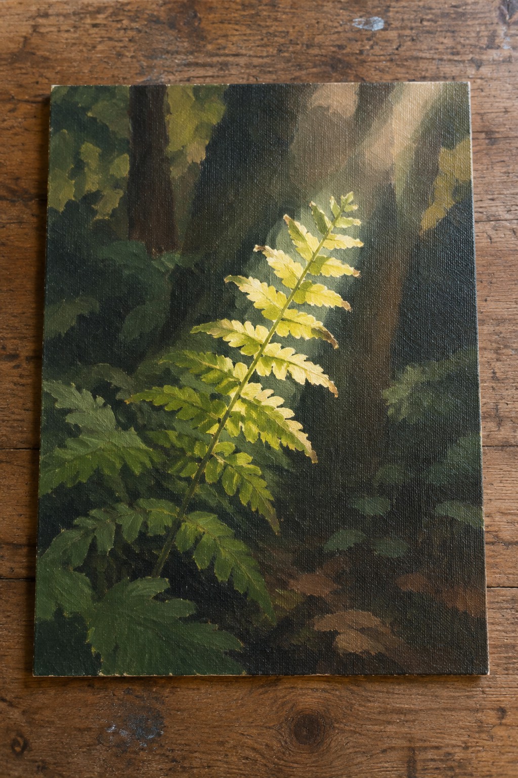 Sunlit fern frond glowing amid dark forest trees on wooden table